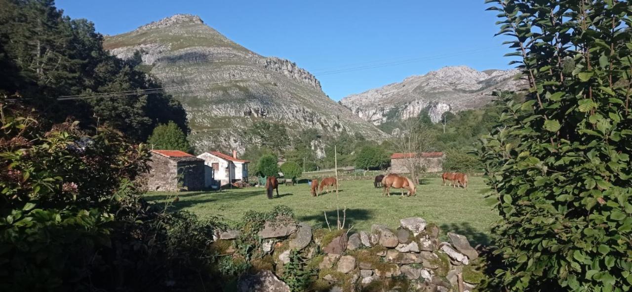 Amplia Y Comoda Casa De Piedra Con Porche Y Jardin San Roque de Ríomiera Exterior photo